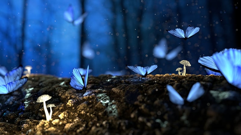 Magical Oases
