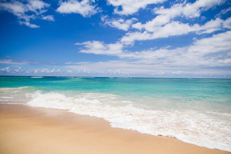 Whimsical Paradises